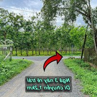 Bán Đất 150000M2 Tại Xã Thạnh Đức, Gò Dầu, Tây Ninh, Giá Ưu Đãi 7,2 Tỷ