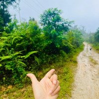 Bán 1000M2 Đất Tại Măng Đen Chỉ 279 Triệu Sổ Hồng Riêng