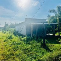 Cần Bán 5Mẫu Phước Tân Huyện Xuyên Mộc Bà Rịa Vũng Tàu Giá Chỉ 12Tỷ Quá Rẻ Liên Hệ 0786066934