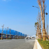 Biệt Thự Công Viên Lễ Hội Sun Urban City Hà Nam. Suất Mua Giá Siêu Tốt Chỉ ~16 Tỷ.diện Tích175M2