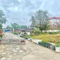 - Đón Sóng Khu Công Nghiệp - Xuân Đông - Ngũ Phúc