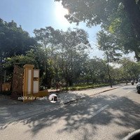 Mặt Phố Cổ 100M2, Gần Nhà Thờ Lớn - Vị Trí Đắc Địa - Thoáng Trước Sau - Vỉa Hè Kinh Doanh - 150 Tỷ