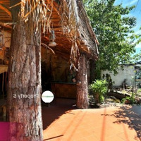Property S - Cần Cho Thuê Mặt Bằng Lớn Kinh Doanh Caffee, Nhà Hàng Khu Phố Tây Nguyễn Đình Chiểu