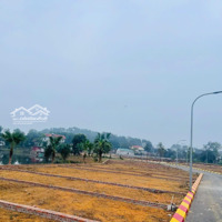 Bán Lô Siêu Phẩm Hàng Hiếm Tân Phúc Sơn Đông View Hồ View Suối Đường To Ô Tô Tránh 65M Nhỉnh 2 Tỷ