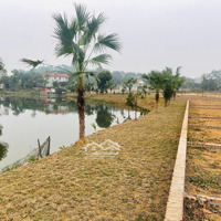 Bán Lô Siêu Phẩm Hàng Hiếm Tân Phúc Sơn Đông View Hồ View Suối Đường To Ô Tô Tránh 65M Nhỉnh 2 Tỷ