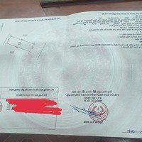 Bán Lô Đất Đấu Giá, Dương Tử, Cao Thành Ứng Hòa