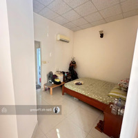 Siêu Phẩm Cực Hiếm Trường Thọ Chỉ 49 Triệu M Hẻm Xe Tải.