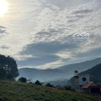 Siêu Hot !
Sở Hữu Đất Sổ Hồng Riêng Xây Dựng Thuộc Đà Lạt Mở Rộng Tài Chính Chỉ Từ Vài Trăm Triệu