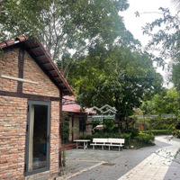 Bán Nhà Vườn Mặt Tiền Đường Lương Ngang, Tân Nhựt, Bình Chánh