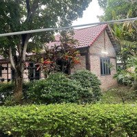Bán Nhà Vườn Mặt Tiền Đường Lương Ngang, Tân Nhựt, Bình Chánh