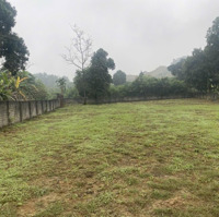 Cắt Lỗ Trong Tuần Siêu Phẩm 2460 M Đất Thổ Cư Tại Tân Vinh Giáp Cụm Khu Công Nghiệp Tân Vinh