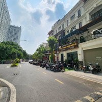 Bán Biệt Thự Đơn Lập Roman Plaza Diện Tích: 190M2 X 4 Tầng Mt: 11M View Trường Học, Công Viên Giá Đầu Tư