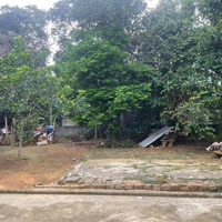 Đất Đường Nhựa Đỗ Phát Sau Lưng Ủy Ban Xã Hòa Ninh, 309M2 Có 120M2 Đất Ở.