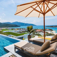 Chỉ 43 Tỷ Sở Hữu Biệt Thự Anh Nguyễn 500M2 Đẳng Cấp, Sang Trọng Tại Phường Vĩnh Nguyên,Tp Nha Trang