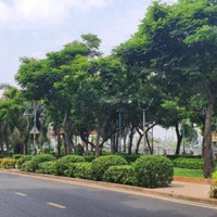 Bán Nhà Riêng Tại Lò Gốm, 10,99 Tỷ, 46M2, Vị Trí Kinh Doanh Đắc Địa