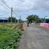 B.á.n nhanh 1,5 công đất đẹp, 2 mặt tiền nhựa HL07, Tân Thành, Gò Công Đông, Tiền Giang.