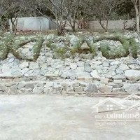 Bán Đất View Đẹp Tại Khu Du Lịch Cộng Đồng Tổ Vặt Hồng, P. Mường Sang, Tx Mộc Châu
