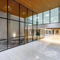 Tòa Nhà Mặt Tiền Hoàng Hoa Thám, Q. Tân Bình - Dt: 7X35M - Hầm 9 Tầng - Hđt: 300 Triệu - Giá: 55 Tỷ