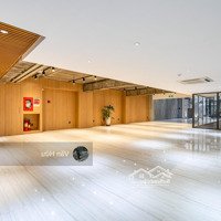 Tòa Nhà Mặt Tiền Hoàng Hoa Thám, Q. Tân Bình - Dt: 7X35M - Hầm 9 Tầng - Hđt: 300 Triệu - Giá: 55 Tỷ