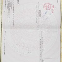 Bán Đất 448M2, 2,8 Tỷ Tại 873B, Tân Tây, Gò Công Đông, Tiền Giang, Uy Tín Hot!