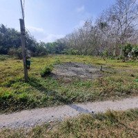 Đất Phường Gia Lộc Thị Xã Trảng Bàng. 200M2 Có Thổ. 3Xx Tr