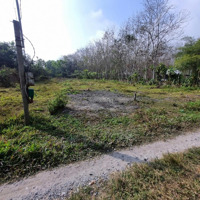 Đất Phường Gia Lộc Thị Xã Trảng Bàng. 200M2 Có Thổ. 3Xx Tr