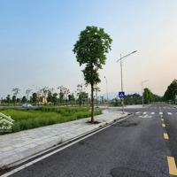 Bán Lô Biệt Thự 200M2 Duy Nhất Đối Diện Vườn Hoa, Giá 18 Triệu/M2 Sẵn Sổ Đỏ, Không Phải Xây Dựng