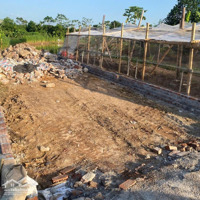 Cần Bán Nhanh Lô Dịch Vụ Lại Yên 60M2 Giá Đầu Tư