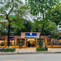 Mặt Phố Tôn Đức Thắng, Mặt Tiền 14M Siêu Đẹp Diện Tích 170M2 Thông Sàn, Vị Trí Đoạn Kinh Doanh Đẹp