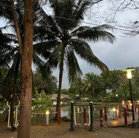 Căn Góc 2 Mặt Tiền View Sông Park Riverside Quận 9