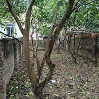 Đất Trong Đê. Đất Thổ Cư Cực Chất Tại Xã Tráng Việt, Mê Linh, Hà Nội, 2,93 Tỷ, 62,3M2