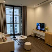Cho thuê căn hộ tại Vinhome Symphony 40m2 1pn 1wc giá 12tr