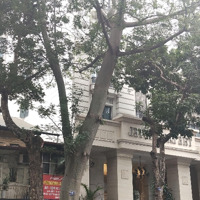Cực Hiếm..! Hoa Hậu Hai Bà Trưng Duy Nhất Mảnh Đất Vàng Còn Sót Lại 250M2*4T* Mặt Tiền 12M.