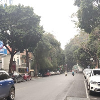 Cực Hiếm..! Hoa Hậu Hai Bà Trưng Duy Nhất Mảnh Đất Vàng Còn Sót Lại 250M2*4T* Mặt Tiền 12M.