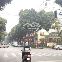Cực Hiếm..! Hoa Hậu Hai Bà Trưng Duy Nhất Mảnh Đất Vàng Còn Sót Lại 250M2*4T* Mặt Tiền 12M.