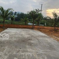 Đất Xây Nhà Vườn Hòa Ninh Sát Dt602, 300M2 Có 120M2 Đất Ở Ngang Rộng Rãi.