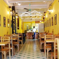 Hot Hot Cho Thuê Nhà Mặt Phố Giảng Võ, 100M2, 5 Tầng Chính Chủ