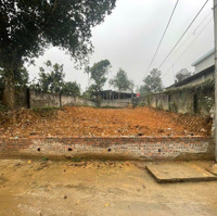 Cần Bán Gấp Lô Góc Hiếm Siêu Đẹp 2 Mặt Tiền Đường Hai Oto Tải Tránh Thôn 4, Yên Bình, Thạch Thất!