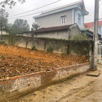 Cần Bán Gấp Lô Góc Hiếm Siêu Đẹp 2 Mặt Tiền Đường Hai Oto Tải Tránh Thôn 4, Yên Bình, Thạch Thất!