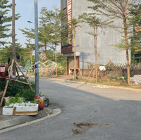 Siêu Đẹp 92M2 Đất Đấu Giá X5 Cũ Nguyên Khê Gần Chợ Lắp Ghép.