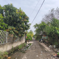 Bán Đất Đường 8 Trường Thạnh Tp Thủ Đức