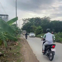 Hàng Hiếm 100M Full Thổ Đất Giãn Dân Đường Nhựa Vành Đai Công Nghệ Cao Hoà Lạc