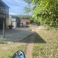 Đất Phú An Bến Cát .Diện Tích6X20 Nở Hậu . Đường Xe Hơi Tới Đất . Sổ Hồng Trao Tay