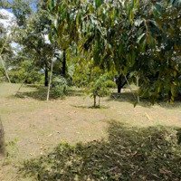 Bán Nhà Mặt Phố Nguyễn Du, 6 Tỷ, 6000M2, View Đẹp, Uy Tín, Khánh Sơn, Khánh Hòa