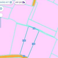 Chủ kẹt cứng tiền gửi bán gấp lô đất Phước Thiền giá ngợp thở DT 217m2