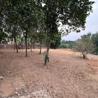 Bán Đất Tản Lĩnh View Cao Thoáng Cơ Hội Vàng Cho Nhà Đầu Tư Chỉ Hơn 2 Triệu/M