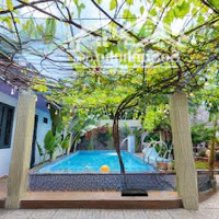 Chính Chủ Cần Bán Villa Chí Linh Đang Kinh Doanh, Diện Tích Đất 500M², Có Sân Vườn Và Hồ Bơi