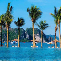 Biệt Thự Biển Giá Siêu Tốt, Sẵn Sàng Đưa Vào Khai Thác Thu Về Dòng Tiền Ổn Định Hàng Tháng.