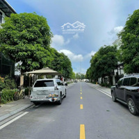 Chuyển Nhượng Gấp Biệt Thự Song Lậpdiện Tích165M Ngọc Trai 05 Đảo Nhỏ Vinhomes Ocean Park Gia Lâm