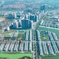 Chuyển Nhượng Gấp Biệt Thự Song Lậpdiện Tích165M Ngọc Trai 05 Đảo Nhỏ Vinhomes Ocean Park Gia Lâm